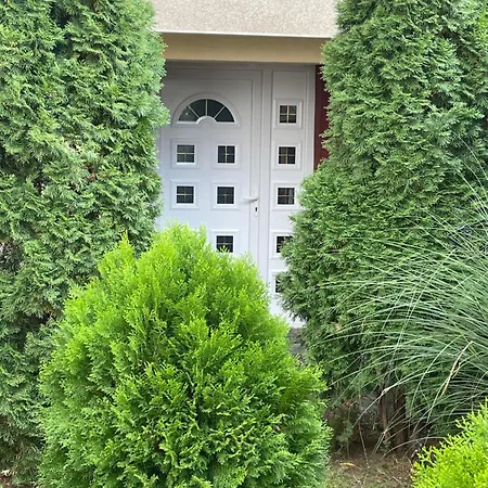 Apartment Tomato